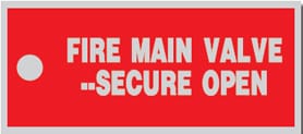 FIRE MAIN VALVE- SECURE OPEN