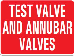 TEST VALVE AND ANNUBAR VALVES
